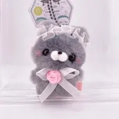 ✨新品✨　すくっとたっちさん　くまさん　ゴシック　タグ付き