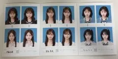 seju 証明写真 3枚セット