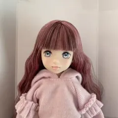 新品未使用】未開封 十夜の夢 ruruko おねむ Azone Ex. - メルカリ