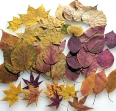 ソルシエール様 リクエスト 3点 まとめ商品