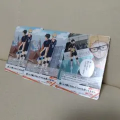 土日値下キャンペーン ハイキュー バボカ 烏野高校 月島蛍 山口忠 セット