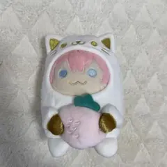 すとぷり　もちもちあにまるぬいぐるみ(さとみくん)