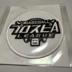 SWITCH プロスピ2021付　美品 新品未開封 switch eBASEBALLプロ野球スピリッツ2021 グランド