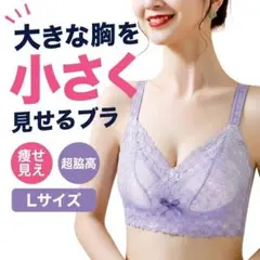 胸を小さく見せるブラ 着やせ 脇高 補正 EFカップ 蒸れない Lのサムネイル