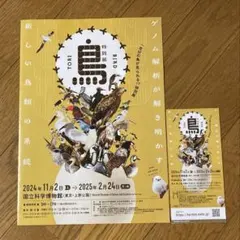鳥展　ペアチケット　期限付き