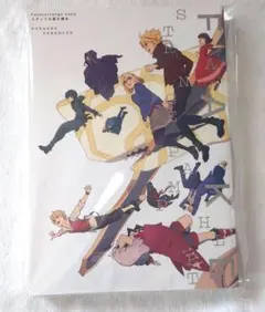 Fate/strange Fake スタッフお疲れ様本 うちわ付き - メルカリ