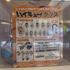 ハイキュー!! 缶バッジ ２個セット