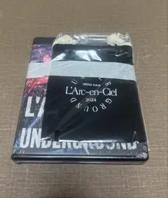 L'Arc~en~Ciel ARENA TOUR 2024
