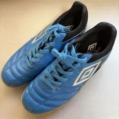 Item thumbnail for item a2e3938d-3320-4aeb-b0ee-5d38080554ea