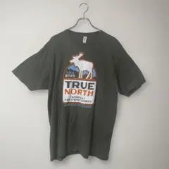 US古着 XL ビッグサイズ プリントTシャツ Tultexのサムネイル