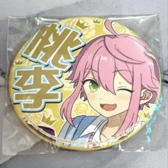 パレオ 二つ名 缶バッジ ガルパ ピコ バンドリ RAISE A SUILEN - メルカリ