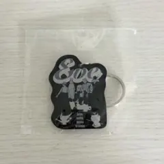 未開封】 Eve アクリルキーホルダー 2点セット - メルカリ