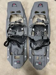 Item thumbnail for item 8bea1139-1b02-49af-a325-6efcb576d233