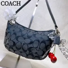 COACH コーチ ワンショルダーバッグ ブラック シグネチャー y2k