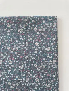 1m liberty タナローン Daisy daisy