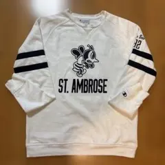【レア】Champion ST. AMBROSE Fighting bees
