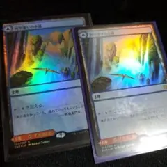 mtg土地まとめ 小道 レア土地 2色土地など 計217枚 メルカリ便 2026年最新】多色土地：小道ランド マジック：ザ・ギャザリングの人気