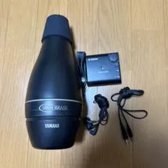 Item thumbnail for item 87794d60-871a-4fcc-9d23-f6518d59bd32