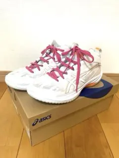 asics バスケットボールシューズ　ゲルフープV17 25.5cm
