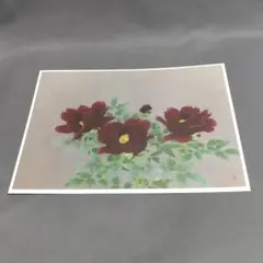 美品 中島千波「黒牡丹」木版画 直筆サイン・朱印有 アダチ版画研究所 桜の千波 美品 中島千波「黒牡丹」木版画 直筆サイン・朱印有 アダチ版画研究所