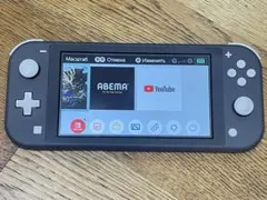 Nintendo Switch Lite グレー 本体 充電器・ケース付き