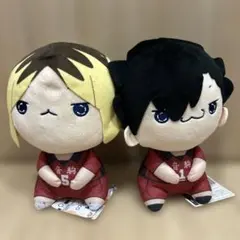 ハイキュー！！ もちぴこBIGぬいぐるみ 2種セット 黒尾鉄朗 孤爪研磨