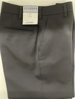 Item thumbnail for item 0d13b1f1-70ed-43d8-a421-7967fba4c35f