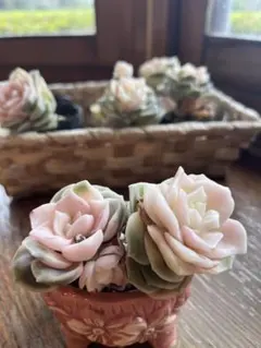 みるピッピ様 リクエスト 3点 まとめ商品