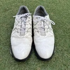 Srixon ホワイト ゴルフシューズ　27.5cm ゴアテックス