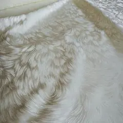 【半額】Coral028-3172ラ・メールC/# 3アイボリー　ブロケット生地