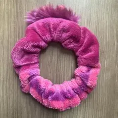 ディズニーランド　チェシャ猫シュシュ