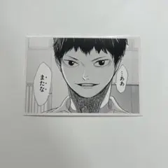 ハイキュー10thクロニクル 思い出スナップフォトカード 山口忠 No.009