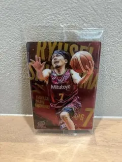 篠山竜青×ロウル　直筆サイン入りビッグアクスタ 篠山竜青×ロウル 直筆サイン入りビッグアクスタ 篠山竜青×ロウル