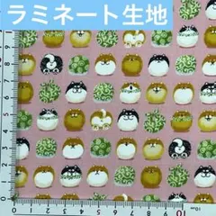 ジャスミンメイ様 リクエスト 2点 まとめ商品