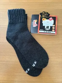 Item thumbnail for item 64a29326-b8ff-405b-a062-721ca23bfdfc