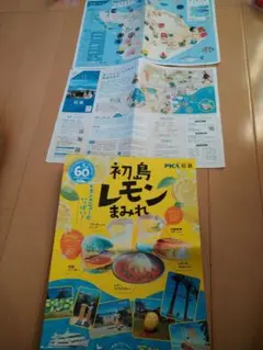 Item thumbnail for item 49785c23-06e7-42ec-84ec-4c6bba881df1