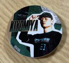 清宮幸太郎　マグネット