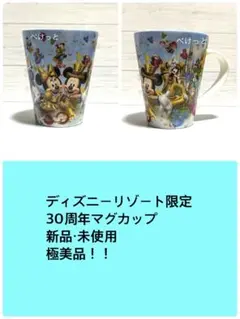 【新品・未使用】TDR限定　30周年限定マグカップ　ミッキー＆ミニー　極美品！