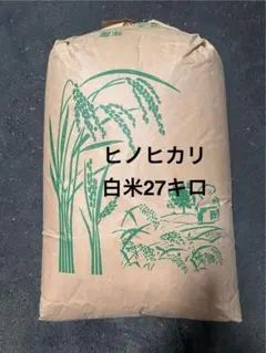 令和7年大分産ヒノヒカリ未検査30キロ玄米 令和7年大分産ヒノヒカリ玄米未検査30キロ お買い得 - メルカリ