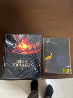 【未開封、交渉可】PRIMAL FOOTMARK #11写真集