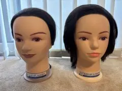 レジーナ　美容学校　カット