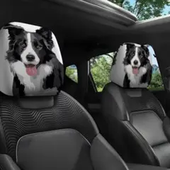 Item thumbnail for item 64e4f2ef-21a1-423a-a470-e32e280e6095