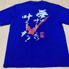 VISION QUEST 半袖Tシャツ Mサイズ ブルー
