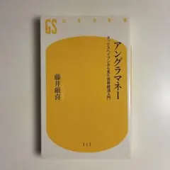 アングラマネー 藤井藤喜
