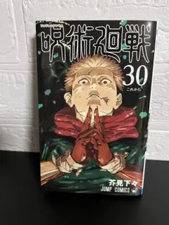 呪術廻戦 30巻　単品