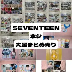 SEVENTEEN ホシ グッズ 묶음 판매