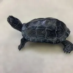 カメ フィギュア 黒