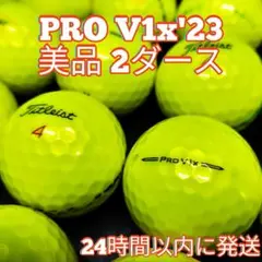 A53】 Titleist PROV1X 黄 2023年 ロストボール 24球 - メルカリ