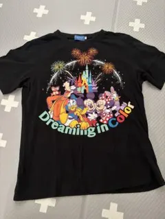 タグ付き ディズニーリゾート 花火 Tシャツ リゾートライン セット ペア 東京ディズニーリゾート リゾートラインTシャツ 花火 - メルカリ