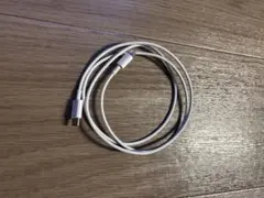 Apple純正　Lightningケーブル